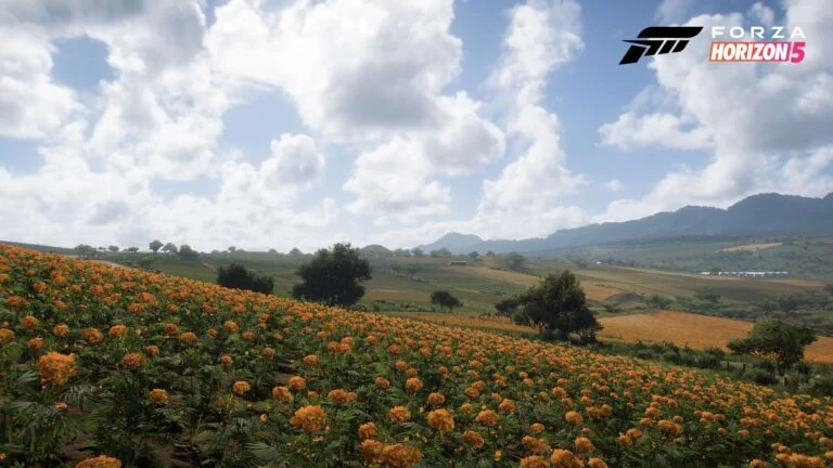 FARMLAND