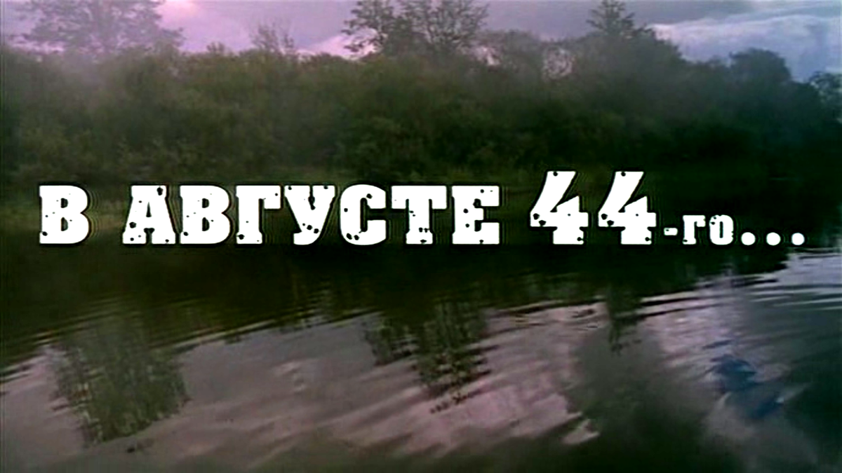 Белорусские леса