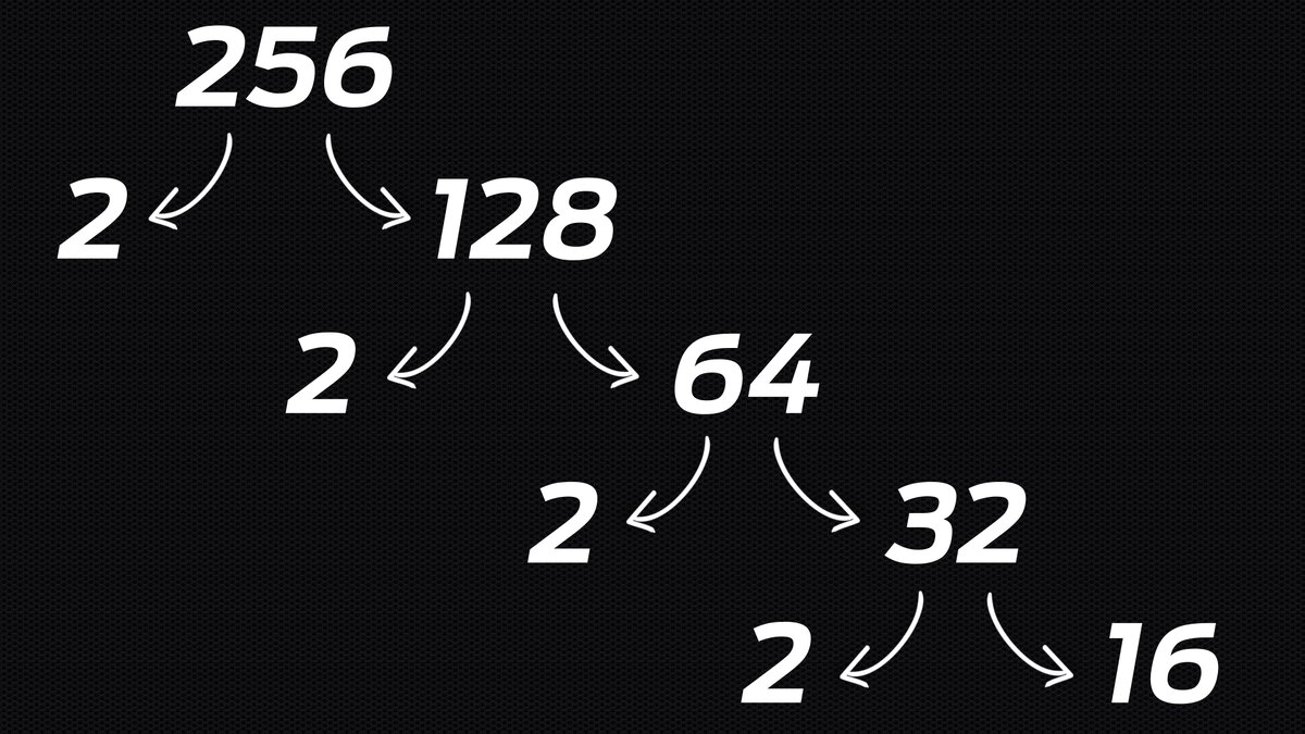 Пример факторизации числа 256