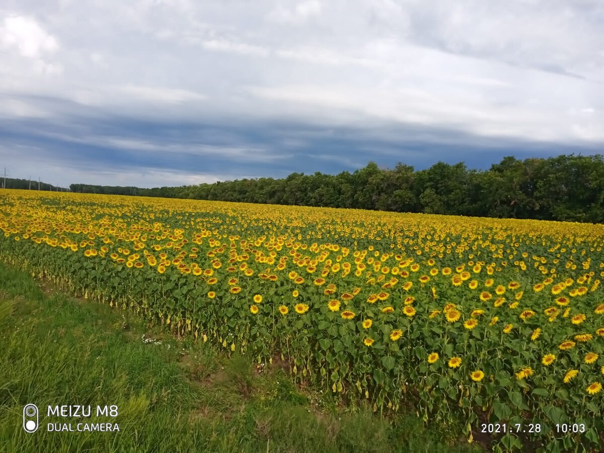 Пейзаж вдоль трассы на Яровое (личное фото автора)