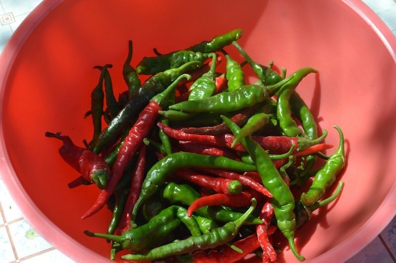 Замечательная аджика по необычному рецепту из Абхазии 