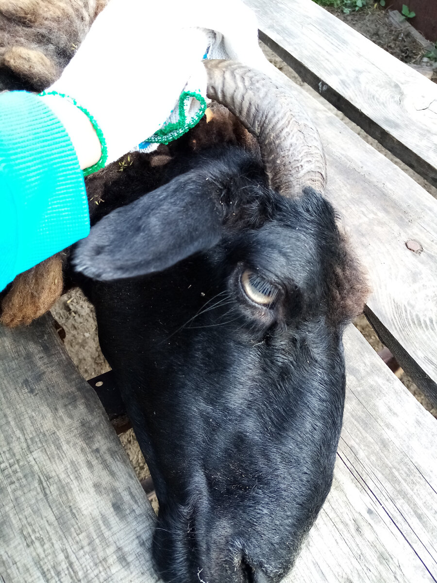 Уложили, связали - лежи и не дергайся. Целее будешь.