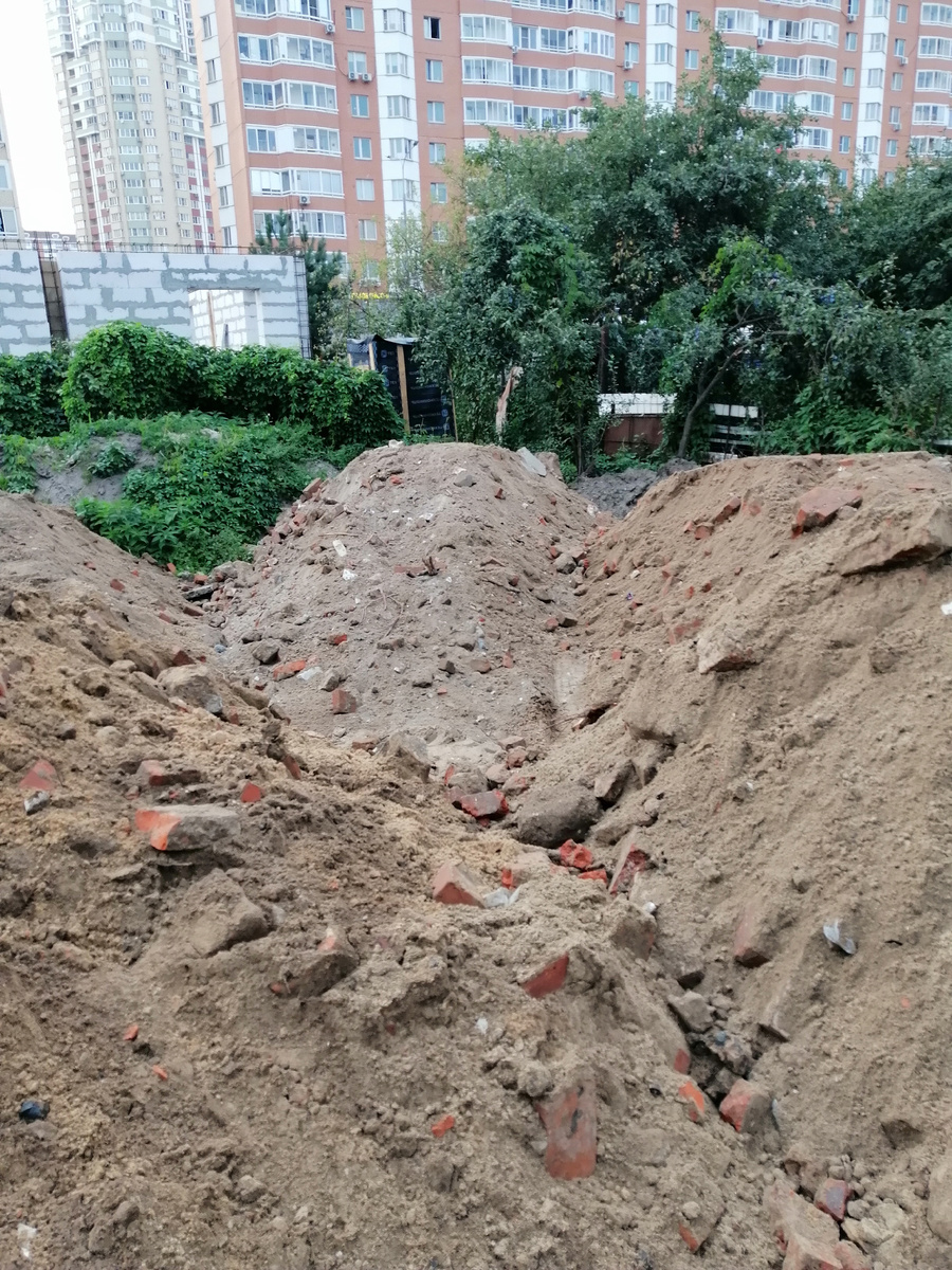 Вместе с кирпичами
