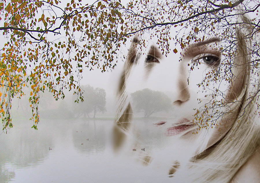 Фотоколлаж авторов.