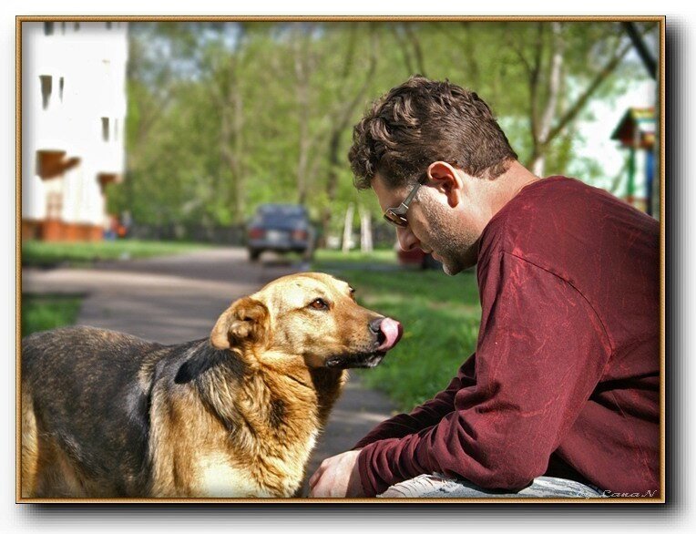 Яндекс картинки, свободный доступ