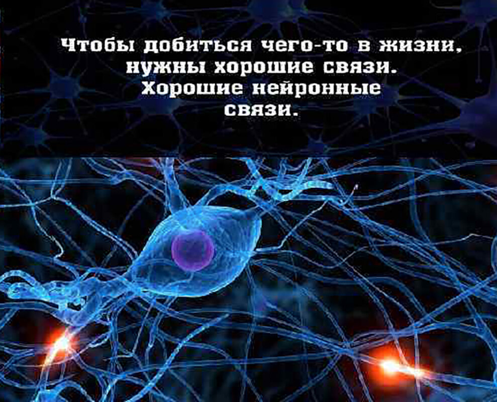 Как создать нейронные связи. Нейронные связи. Хорошие нейронные связи. Нейронные взаимосвязи. Нейронные связи в мозге.