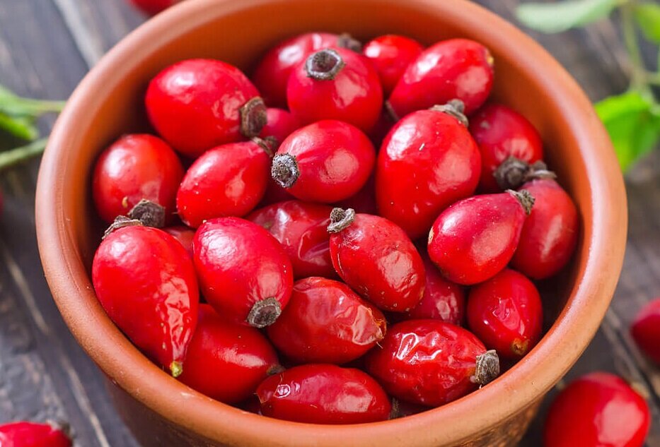 Плоды шиповника