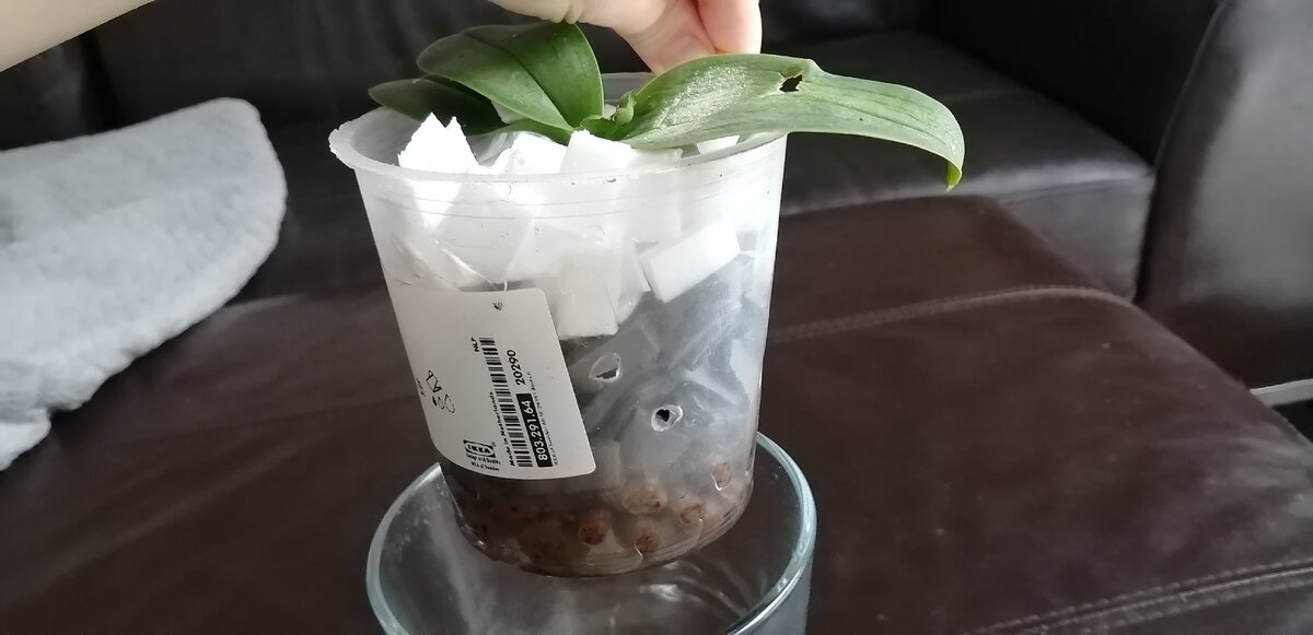 Все что осталось(