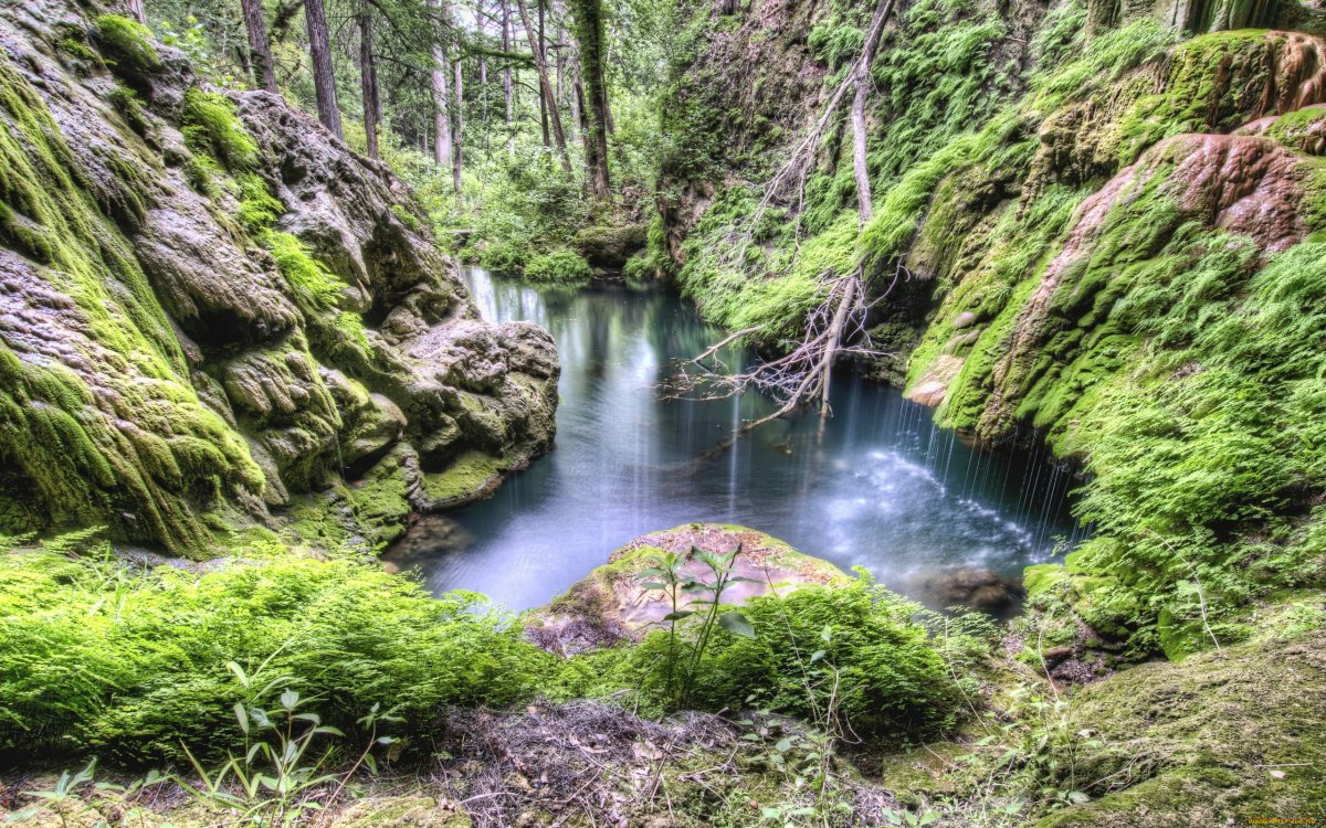 Фото из открытого доступа интернета