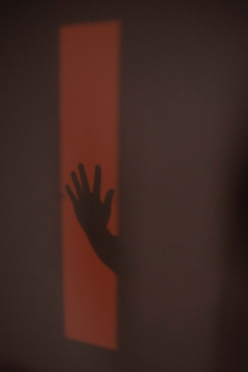 https://www.pexels.com/ru-ru/photo/6413657/