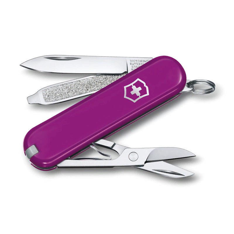 Victorinox Ambassador Фиолетовый