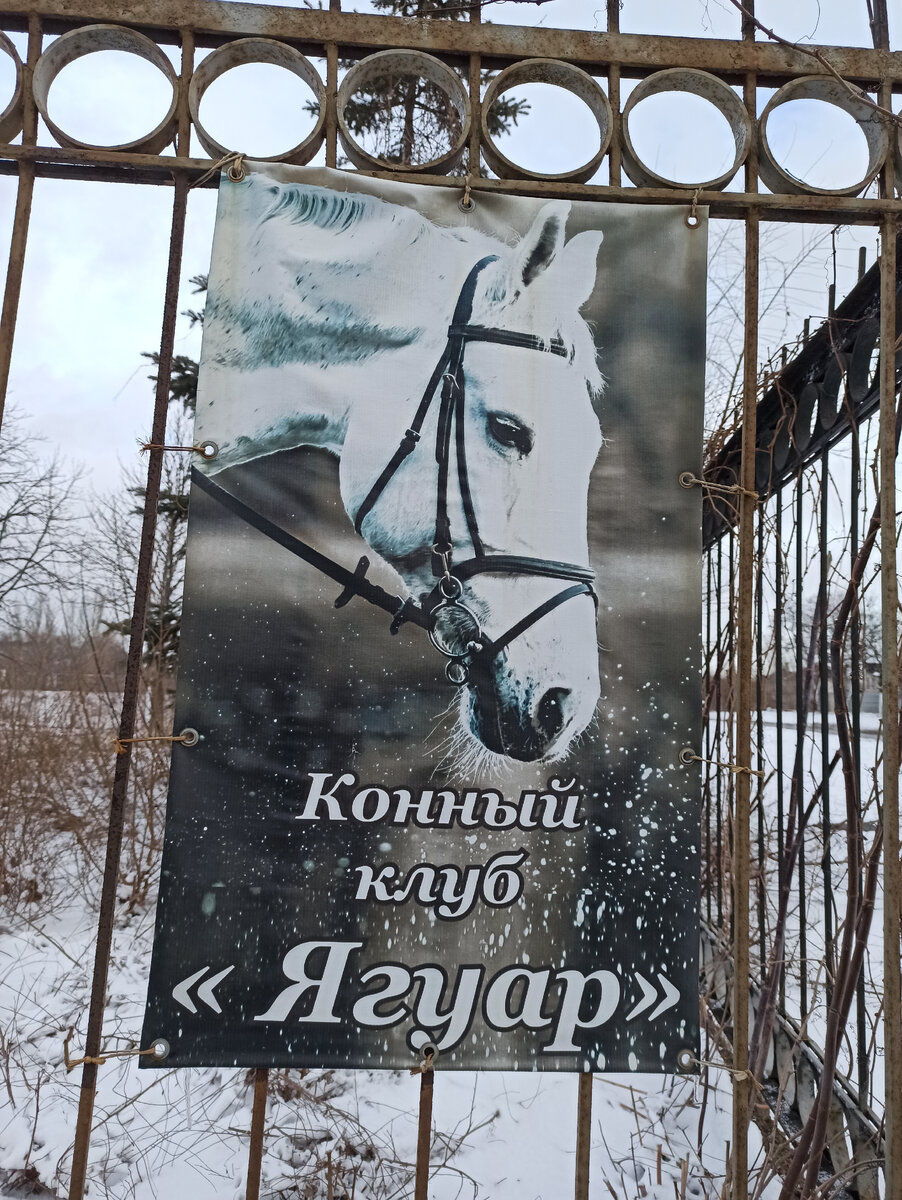 Такой красивый постер прикреплён к воротам конного клуба "Ягуар".
