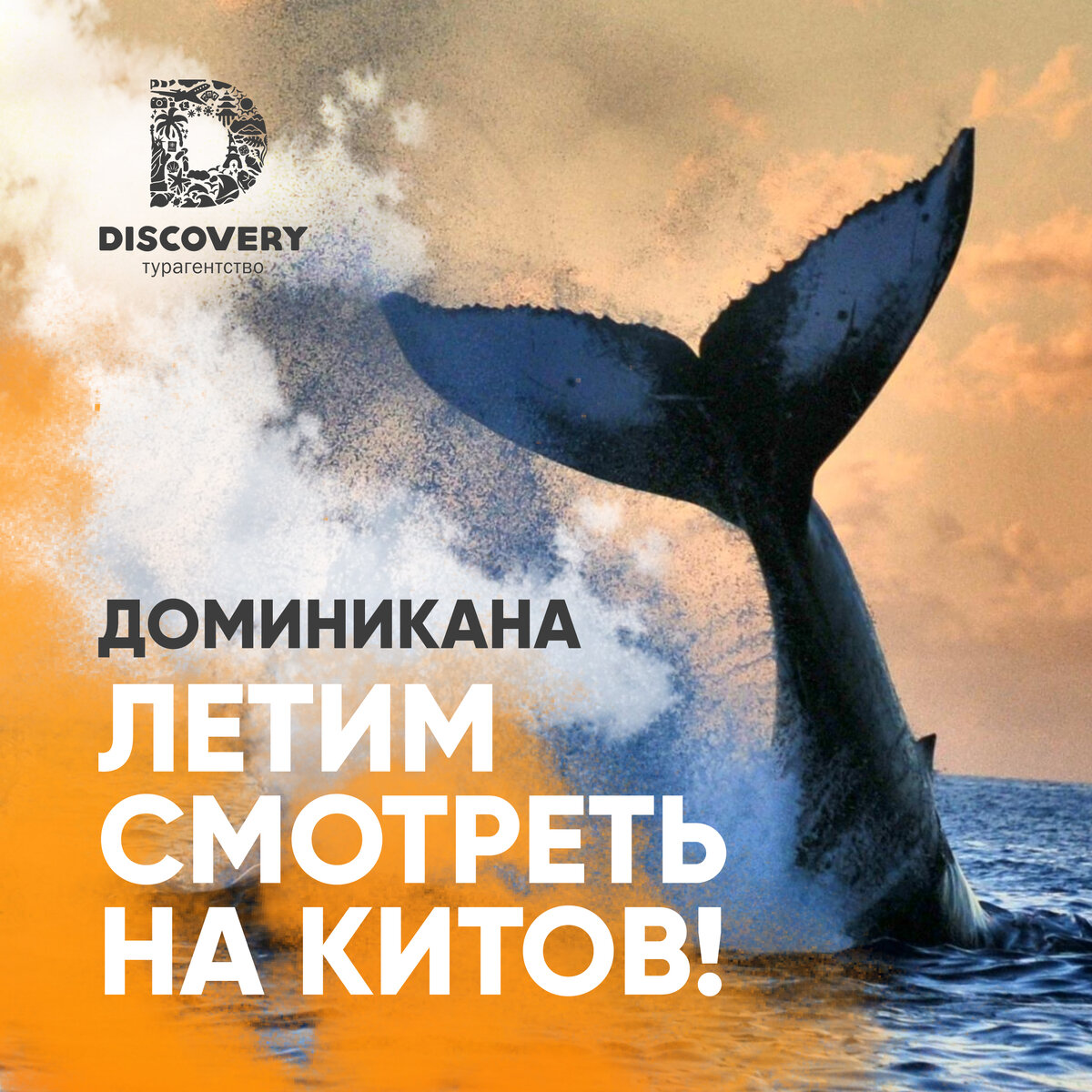 Ловите чудо-возможность за хвост!