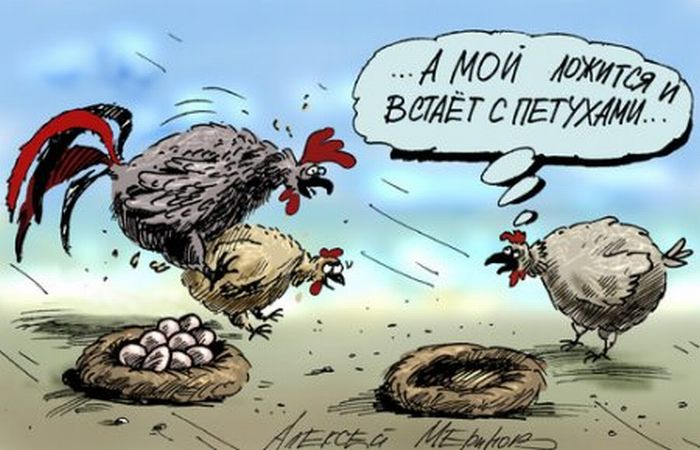 Яндекс Дзен
