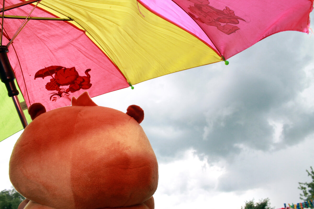 Шашлык под зонтом. Легко исправить с помощью зонта. Толи дождик толи снег. Бра из зонта. Олег хаимов фотограф.