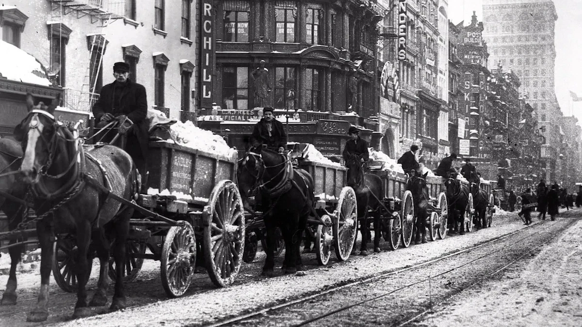 В конце XIX века в крупных городах проблема конского навоза была такой же насущной, как сейчас пробки. Чиновники спорили, пытаясь найти решение, но становилось только хуже.-2