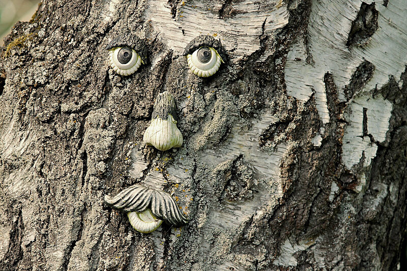 Фото: pixabay.com/Manfred Richter