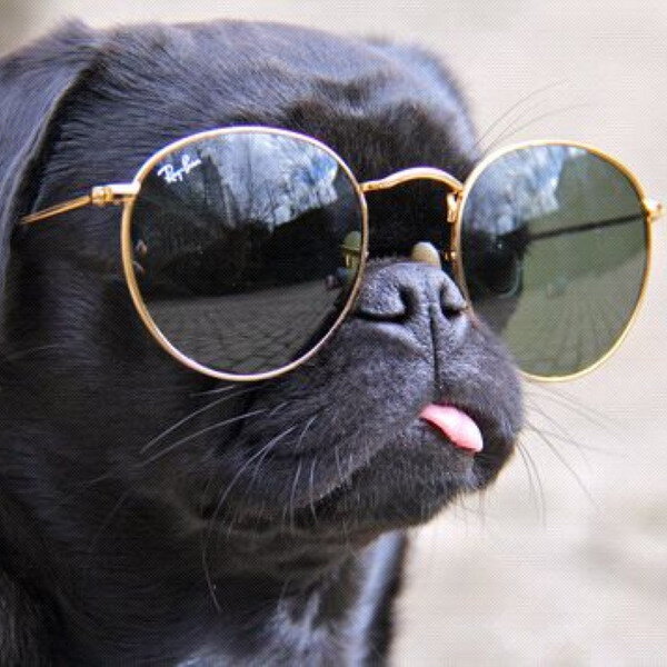 Картинка взята из открытых источников Интернета!