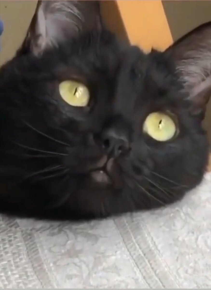 Эт я смотрю в светлое будущее)))