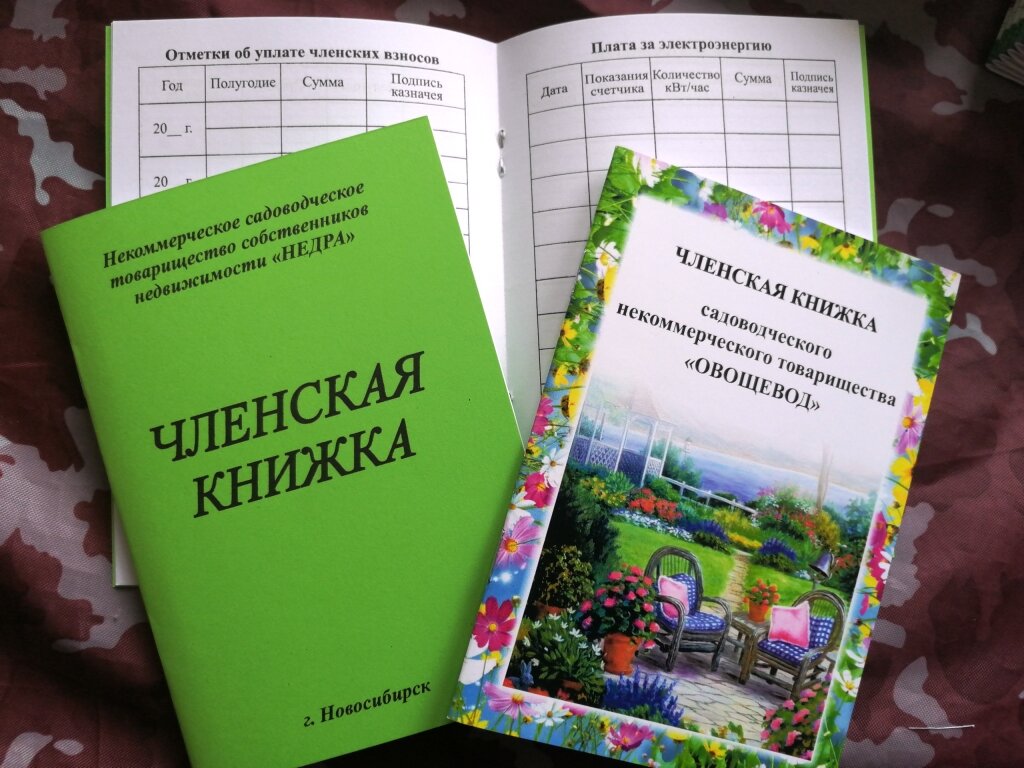 ОБЛОЖКА:  Вариант1: Цветная обложка (4+0), бум. 200 гр..    Вариант 2: Печать в 1 цвет (1+0, черн.), бум.  цветная цвет на выбор, 160 гр.. 