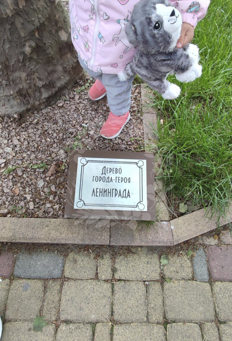 Помните ещё города-герои?