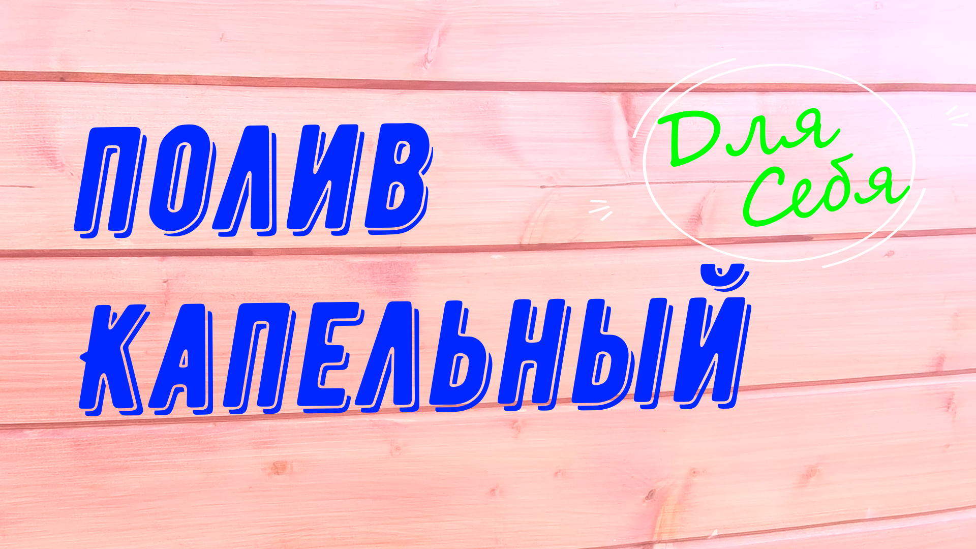 Теплица из б/у пластиковых дверей своими руками - узистудия24.рф