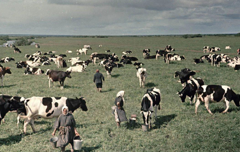 Жизнь в деревне. СССР