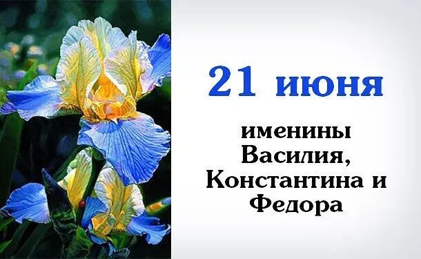 День цветка 21 июня картинки