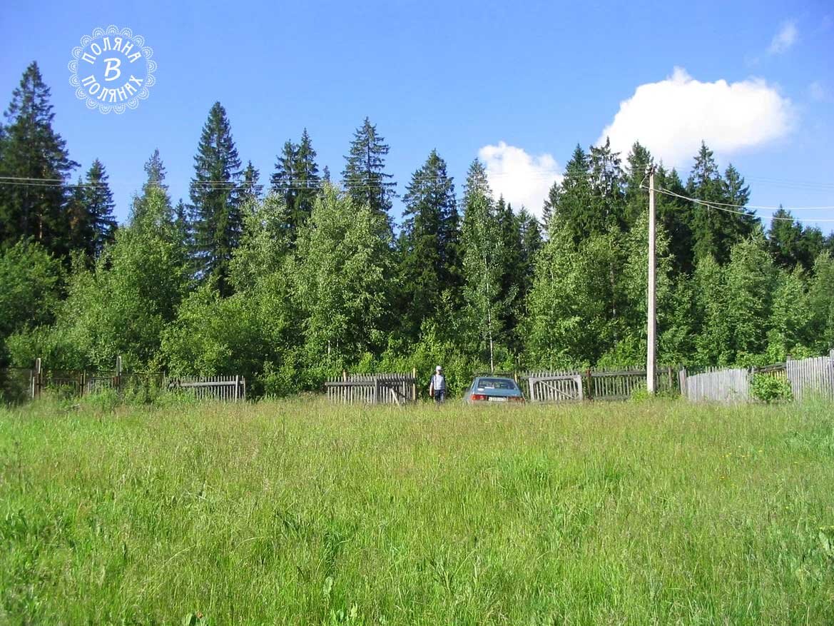 Наша поляна в самом начале пути. Фото из личного архива, 2004 год