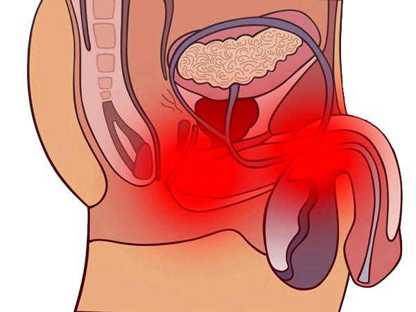 Секс и мастурбация при простатите