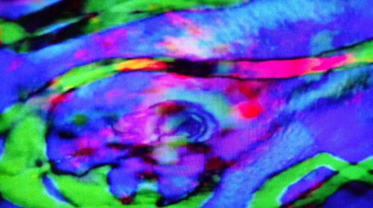 Paul Oakenfold "A Voyage Into Trance" CD + DVD - screenshot