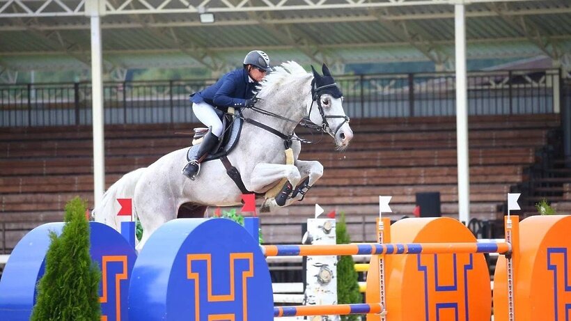    Чемпионат России по конкуру 2023 ©