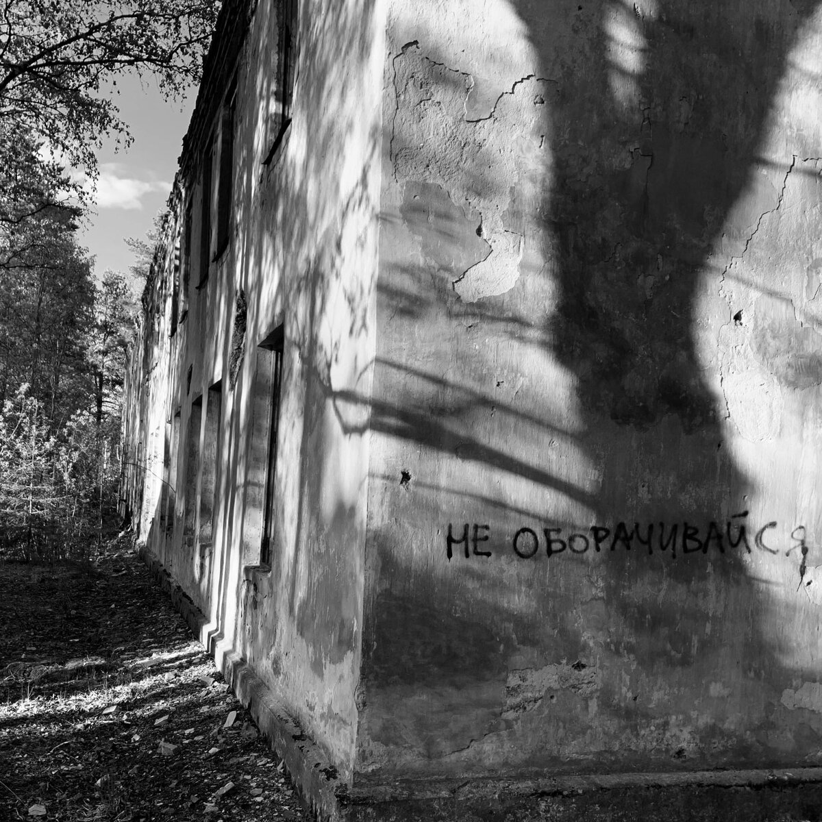 Смысл улиц