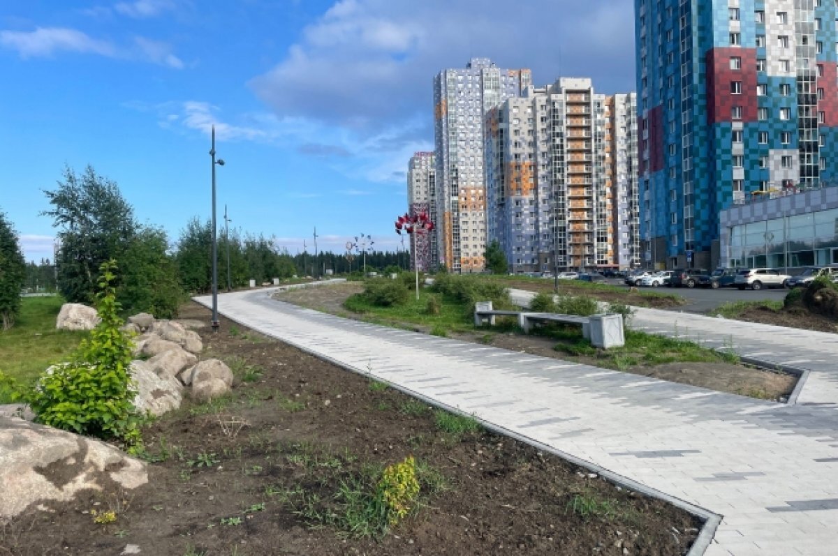    Завершается благоустройство аллеи в Петрозаводске