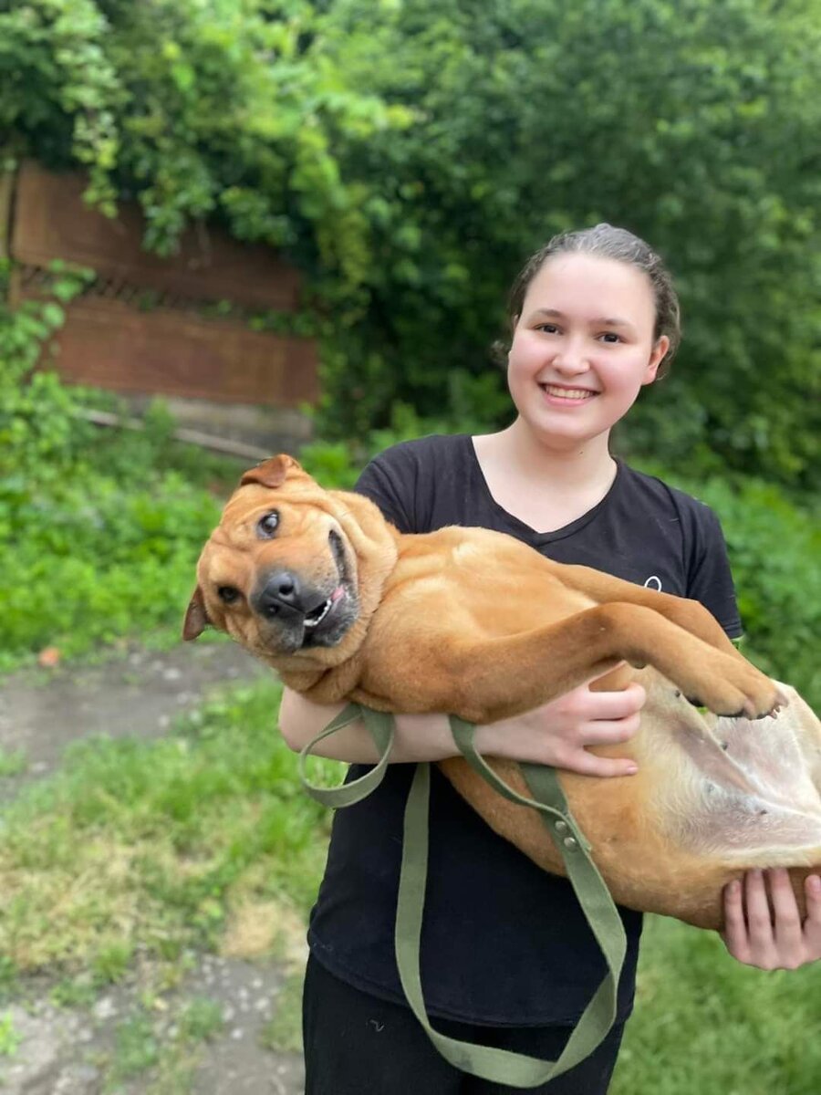 Шурпа из баранины. Шарпо. Кийма шурпа. Похлебка шурпа. Таджикистан шурпа (шурбо).