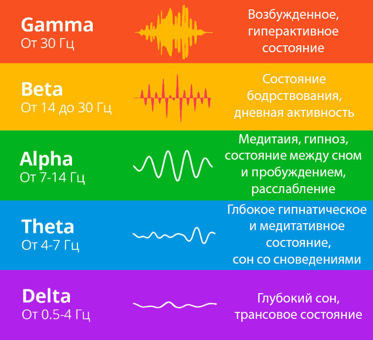 Ритмы головного мозга