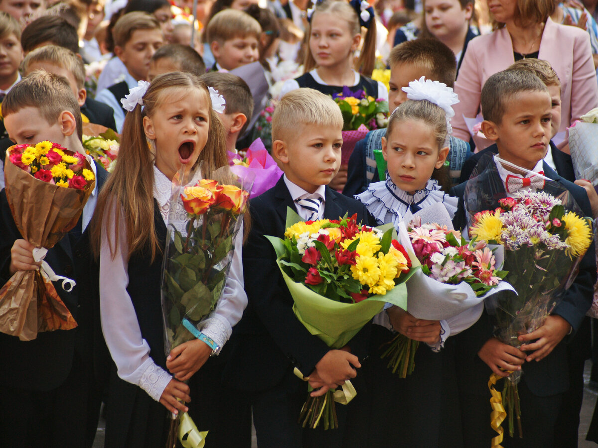 9 школа жуковский подготовка к школе | Подготовка к школе. Канцелярские  товары в СПБ. | Дзен