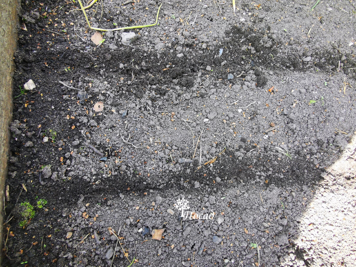 Рядки намечаю любой веточкой, только чтобы ровно было.