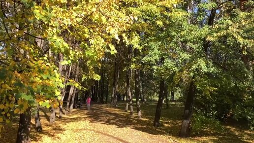 Виды для осенней фотосессии в парке на Ясной и в парке им. Павлика Морозова. Екатеринбург 14.09.2023