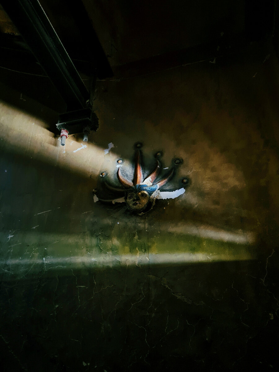 Фото: Парадная гостья