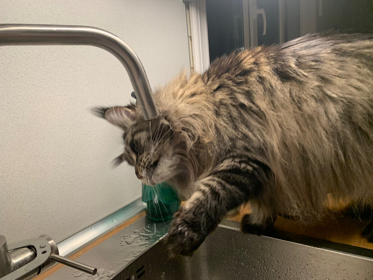 Фото из личного архива