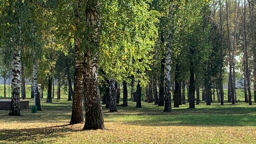 Листья Желтые Над Городом Кружатся, С Тихим Шорохом Нам Под Ноги Ложатся…🍂🍂