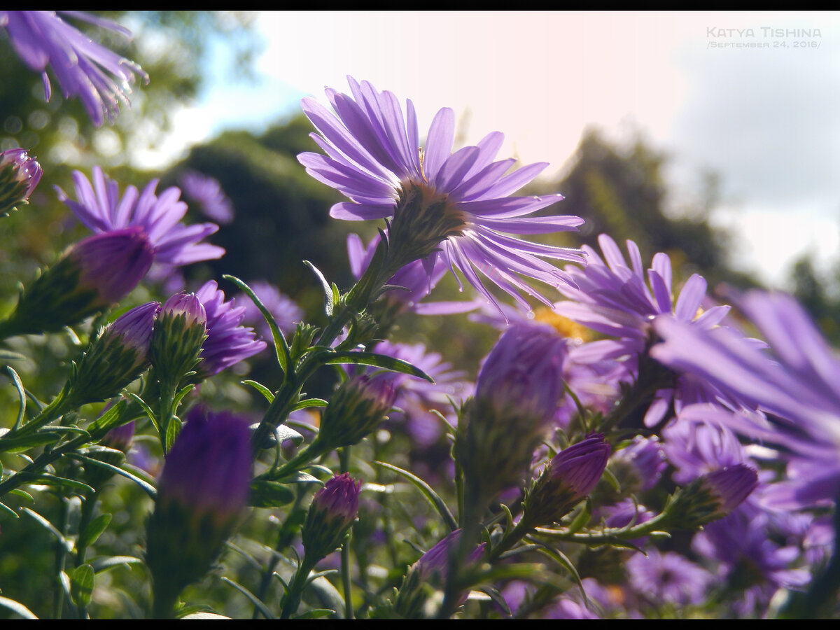 Листайте галерею, чтобы увидеть больше фотографий.

