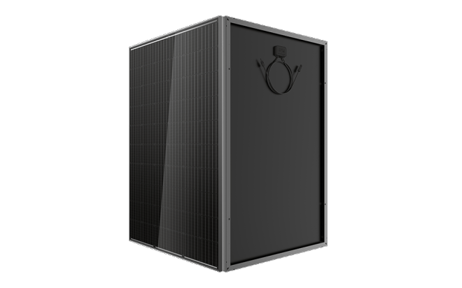 серия Honey black M от REC Group