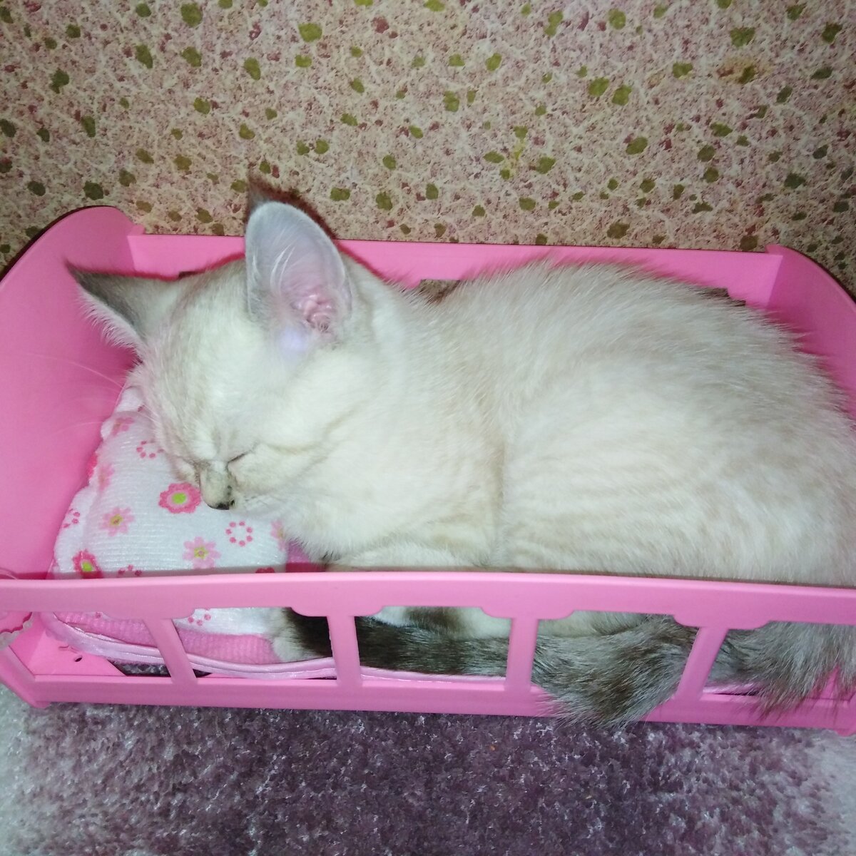 Снежа еще у нас