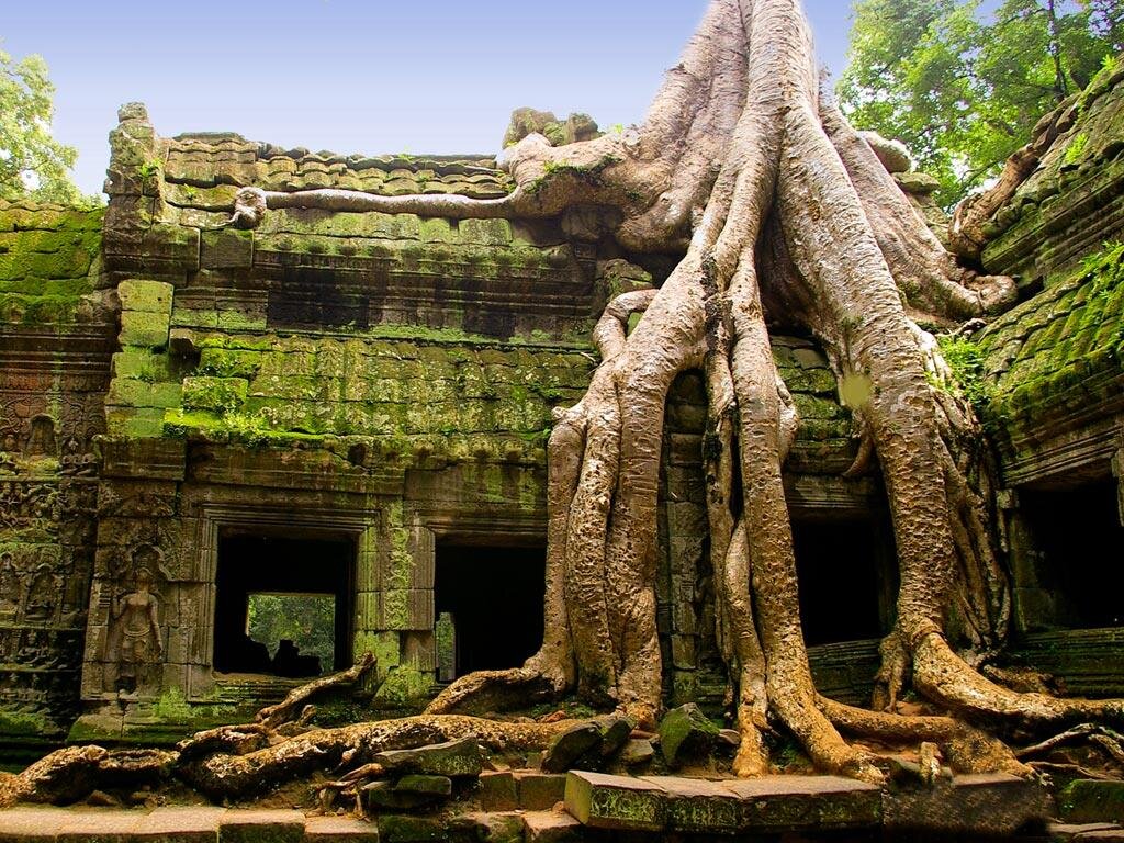 Та Пром – один из самых эффектных храмов Ангкора в Камбодже