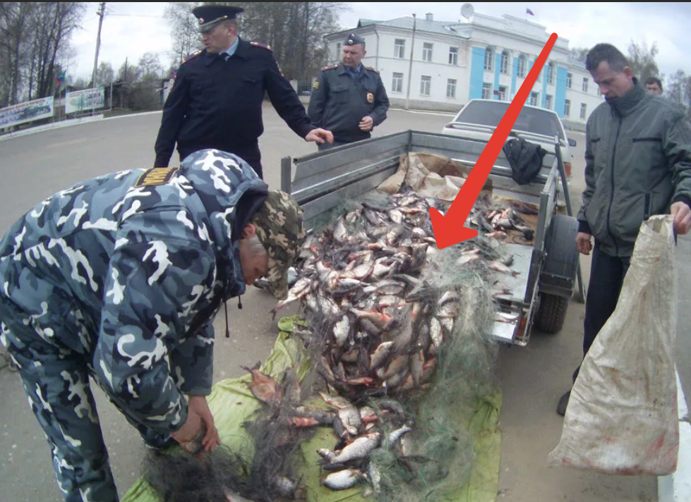 Вводится полный запрет на использование сетей, взрывчатых и химических веществ, а также тока. 