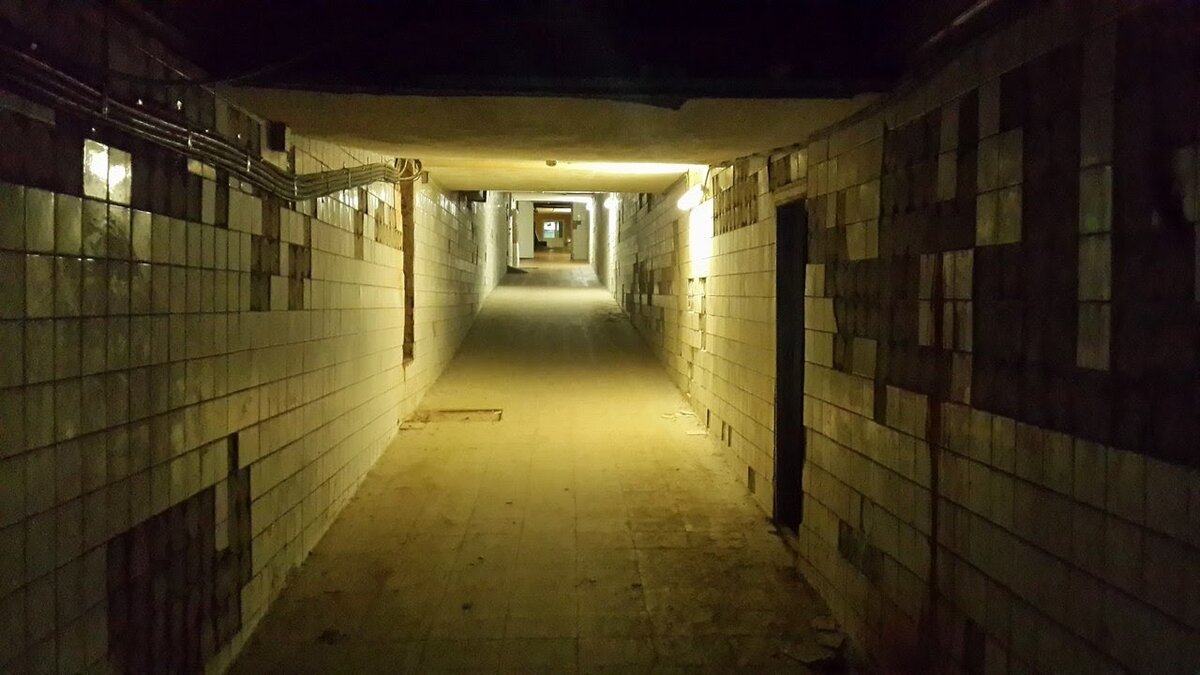    В детстве, перед сном, я довольно часто мог находиться лёжа в такой же позе, раскинувшись и строить из себя невинное и замученное существо неземного происхождения. Сейчас же я был измученный тоже. Руки вздёрнуты, будто я хотел улететь на своих воображаемых крыльях. Лежал я вниз головой, на лестнице. Голова пребывала прямо под перилами, так что, я не смог оглядеть что-нибудь вокруг, если бы захотел бы и еще чувствовал тело. Обзор был только на противоположенную стену, и у меня троилось в глазах, а обзор просто мотался и дергался, как будто я дёргал головой, как поплавок дёргает играющая вода. Вместе с тем кусочки моей куртки, трава, которую я продавал; и наброски грязи которые были частью всей композиции. Отвертка, которой меня били, лежала тоже рядом со мной, от неё лёгкие струйки крови тянулись друг от друга играючи - извиваясь. Всё это было похоже на картины Поллока, которого так любил мой Дед Моя шея не давала мне оглядеться, если честно мечтал бы, что бы это кончилось не так страшно и больно. Вся суть моей жизни и понимание далось мне через несколько секунд после нападения на меня. Моя история уходит корнями в моё детство. Это Я стою за прокуренным диваном и держусь за шершавую подушку, под которой лежал пистолет моего деда. У меня горело в груди. Мой старший брат опять пожаловался на меня за то, что я сквернословил. Просто маленький чернокожий мальчик, с белыми зубами и белками глаз, пытаюсь понять что-то в жизни. Относительно недавно я научился завязывать шнурки, относительно недавно я стал принимать ванную комнату и туалет сам. Потому что заметил как от меня пахнет, даже после того как я просто искупаюсь только в воде и без мыла. Денег на шампунь у моей семьи тогда не было. Я был очень вдумчивым и любил фантазировать, в детстве я верил в ангелов и демонов. Покров незначительной фантазии раскрывался с болью для меня, когда я в тот или иной раз обнаруживал в мире философское или научное объяснение тому или иному проявлению существования. 
    Я очень хорошо помню один момент. Я проснулся с тяжёлой головой, немного слюней вытекло из моего рта, пока я спал. Во рту была ужасная засуха. Соседские дети стучали об мою стену мячом. Я вышел на задний двор и после того как обошёл дом. Мяч попал мне прямо в лоб и все начали смеяться надо мной. 

- ****юк, подай мяч!
- Он потерялся в жопе твоей мамаши!
- Что ты сказал, Выводок?

Это прозвище мне пригодится в будущем.

- Гавно твоей мамаши перемешалось со спермой твоего отца, и теперь появился ты.

- Ты сука, зря так базаришь!

- У тебя слюни летят изо рта или сперма?

   Ребята рядом укатываются со смеху. Я начинаю убегать от него. Его звали Кен, он был старше меня на полгода. Но из-за того, что его мать была наркоманка и, по-моему, купить марихуану начала ещё до его рождение примерно в его возрасте и не слезала с нее даже когда была беременна Кеном, он выглядел более поджаристым и старше меня года на два. Его лицо и глаза были более озлобленными, глаза более закреплёнными под лобовой костью. Так же лицо с натянутой лобовой костью и скулами. Он догнал меня прямо около забора, который я хотел перелезть, ударил меня ногой, так что я упал через колесо, на которое я хотел запрыгнуть и сбежать между дворов. Затем оплеуха. Оплеуха мне прилетела такая, что я прикусил щеку и почувствовал вкус крови. Затем следующая. На глазах поступили слёзы от обиды. Затем ещё и ещё... Я забегаю домой, забегаю в гостиную, жду, когда мой дедушка выйдет. Руки от злости сжимают эту подушку от дивана всё сильнее и сильнее. 

   "Накормлю эту суку свинцом", - подумал я, даже скорее крича внутри себя. Со мной явно было что-то не в порядке.
    Серебреная рукоять блестит почти как зеркало, я вижу свои большие губы. Черную кожу и глаза блестящие от злости. Но мои маленькие и злые глаза сразу изменили настроение, когда я услышал, как в дверь заходит мой бабушка. Я быстро пробежал за диваном, потом наверх по лестнице прямо в свою комнату. Открыл дверь шкафа, смотрелся в зеркало со стволом. Представлял, как наступлю ему на ключицу, засуну пистолет в рот, так что бы слюни стекали ему на подбородок; и он молил меня, просил меня, будто выполнит всё, чтобы не быть на этом месте. Я слышал, как моя бабушка включает патефон и ставит пластинку. Рокочущий негритянский голос плавно расплывался по дому. В раннем детстве я слушал только джаз, от него у меня остались не только воспоминания, очень много пластинок пригодилось, когда я стал диджеем, но и нехорошие воспоминания о плохие вещи, которые случались когда я был совсем мал и в доме играл джаз. Это была некая пародия на идиллию типичной американской семьи, с хорошей зарплатой раз в неделю. Пародия на американскую рекламу времён 50-60 годов. В то время тупые были не только белые люди. Но и черные пытались подражать им во всём, что бы хоть каким-то образом интегрироваться своими чёрными когтями в белую, американскую среду. Они пытались подражать им во всём. Акцент, манера одеваться, музыка, еда, украшения, машины. Доходило до того как любой несостоятельный чернокожий человек, после понимания ущербности и бессмысленности своей жизни менял фамилию. Например, выходец из какой-нибудь Кении запросто мог стать Мур, или Митчелл. Меня это не сильно волновало, потому что я был захвачен своей этнической принадлежности и поражался историей своего народа. Сейчас это не имеет смысла ведь, прямо сейчас я лежу на лестнице, умирающий, измученный, сдавшийся.
   Я заметил, как мне пробили лёгкое, и правая часть левого бёдра онемело, а уши горят, и потеет всё тело, даже лицо. Капельки пота выступают у меня на носу, и он понемногу стекали на мои веки, тем не менее, мне очень холодно. Удивляюсь и восхищаюсь, какое человек - необычное создание. Мозг готов на любые сделки с его носителем, лишь бы тот подчинялся ему! Сейчас мой мозг выл и хотел проникнуть в суть жизни, которую я прожил. Я возвращаюсь в свою комнату. В ней пахло бобами и двадцатилетней кожаной обивкой дивана. Потому что раз в день мне давали банку бобов. Денег на нормальную еду не было, и моя бабушка считала, что их можно есть перед сном. И я заедал их только что бы заснуть без препятствия голода. Ел я их в своей комнате далеко после ужина, потому, что у нас в семье его не было. У бабушки и дедушки были другие дела. Зато у меня был очень мягкий белый ковер, типичного американского образца. Я любил снимать обувь и ходить в одних носках по комнате.
   Почувствовав, как у меня щёлкнуло в голове, я сменил позу, закрыл руками уши и лёг на кровать. Плавно, как будто меня самого подстрелили, только уже в душу. Пистолет я положил себе под подушку. С детства я страдал расстройством личности, я имел воображаемого друга, и всегда когда у меня щёлкало в голове, то я сразу понимал, что нахожусь здесь не один и ожидал чего-то нового, интересного и пугающего меня. Всегда был вызов. Воображаемый друг так же мог быть и врагом. Его звали Харк, он был тоже чёрный и маленького роста. Самое забавное, было то, что когда он появлялся, то моё тело сразу сковывалось, двигаться становилось тяжелее. Ощущение как будто время растягивалось. Как будто моё тело становилось скафандром. Мой мозг и сознание плющились, это похоже на наркотический трип. Это и был трип, потому что я двинутый. В общем, в моей голове сидел ещё один Выводок и управлял мной.  Я сразу становился сдержанный. Я был похож по поведению на страхового агента, который приходил к нам домой несколько раз. Он сидел в прихожей и был очень вежлив, тактичен и сдержан. Его осанка была прямая, тело как будто высечено из статуи античных греков. Даже переносица была такой же, как на высеченных статуях, сразу начиналась от лобовой кости, стрижка была типичного армейского солдата. Но его лицо просто показывало отвращение и непоколебимую дисциплину, при которой даже если его заставят поиметь раздетую негритянку, он не дрогнет. Он был явный расист с задатками альтруиста. Так, вот я становился таким же, как мог я судить позже. Умом я понимал, что рождён в аду и смысла в жизни не было никакого. Я рождён только потому, что мои родители переспали. Страховым агентом я не стал бы никогда, не стал бы врачом, адвокатом, топ менеджером, банкиром, полицейским, пожарным. Максимум кем я мог стать так это, дальнобойщиком, либо поваром и это был предел моих возможностей. Так же у меня было расстройство, возможно, оно было вирусом, который я подхватил, когда чуть не утонул в озере.
-Маленький Харк*.
   Я слышал как он, дышал. Его поведение было хаотично. Он был практически копией меня, когда появлялся. То есть был полностью импульсивным и поверхностным человеком, и поведение в такие моменты могло выдавать всё что угодно. Он мог начать читать лекцию про молекулярную физику, читать наизусть коран или Шекспира. На тот момент, никто из моих родителей не мог заподозрить, что со мной что-то не так. Узнают они об это попозже, когда придёт время. А сейчас, насколько я теперь понимаю, я просто был гением двойной жизни. Я жил двойной жизнью и никто не знал об этом. Одна жизнь была мною проживаемой жизнью типичного черного человека В соединенных штатах Америки, проживая такие же проблемы и кризисы, как и остальные черные люди. Вторая жизнь была просто адом, который меня, в конце концов, и убил. Я разговаривал с Маленьким Харком, скрывал от всех, что я "немного" того. И так как он дышал, то я понял... Он не в себе, лучше успокоить его пока не стало хуже. Такое бывало часто, он взрывался на ровном месте. Как бы покидая здравый смысл. Такая личность может быть только мошенником и жуликом.

- Харк, сейчас моя бабушка опять заставить меня есть курицу с брокколи. Я уже не могу про неё даже думать, три раза в день одно и тоже. Скоро зелень у меня из носа полезет. Что мне делать? Застрелиться сейчас или потом? - Я достал пистолет из-под подушки и приставил его к виску, но в тот момент он был такой большой, что был больше моей вытянутой кисти, - Или потом? Во время ленча? А ? Харк? Харк, а ты знаешь, что если меня не станет, то и не станет и тебя? Ты так и не сказал мне, откуда ты родом...
- Выеби её.

- Как грубо! - На моем лице появлялась ухмылка. Говорил он слова, так как будто отрывал куски предложений и кидался в меня. Это было одновременно страшно и смешно. Его речь, когда он был раздраженный, напоминали слова человека с явным дефектом или болезнью. Но, то, что он говорил, было ясно и намеренно. Он не был дипломатом или оратором. Но словца мог добавить такого, что я даже понятия не имею, откуда он их достал.

- Как ты будешь так жить? Двадцать лет? Или покончишь с этим с минуту на минуту? Ты помнишь передачу по телевизору, в которой спаривались морские коньки? Между прочим, они были родственниками, понимаешь, к чему я клоню? В природе нет ошибок. В этом нет ничего ничего не нормального, если ты об этом подумал. Ты должен это сделать, сейчас или никогда. Или всю жизнь будешь так и жрать это дерьмо. Я тебе честно говорю, ты ведь мне веришь?

   Я начал посмеиваться. А он только заводился.
- Выводок! - Я посмотрел на него, он лежал на полу перед зеркалом на ковре и смотрел куда-то вверх. Он лежал в высоко натянутых белых носках, больших шортах, откуда торчали его худые ноги и в белой футболке. Каждый раз он появлялся в разной одежде, он жестикулировал руками. Его ноздри расширялись. Глаза были немного выпученные. Взгляд был выразительный всегда, по такому взгляду можно было догадаться, о чем он думает, что хочет сказать, и что он будет говорить.
- Слушай, я знаю, ты меня не послушаешь. Ты считаешь это вздором, и меня видимо тоже вздором считаешь! Но я есть! Я живой и вот я здесь! - В самые пиковые моменты наших встреч с ним, у меня начинались галлюцинации. Они происходили, когда рядом никого не было, притом за несколько секунд могли происходить события, в моей голове очень большого масштаба, которые никак не обращали внимание на время.

   В тот момент я видел следующую картину. Передо мной Что-то говорил Харк, он встал. Начал махать руками, быстро переходя с темы на тему. Расплывалось перед глазами всё, да так как будто я засыпаю. Но в такие моменты я чувствовал буквально всё, шуршание моей бабушки или дедушки на кухне снизу, звонки на велосипедах с улицы, пожарный гидрант, который гудит глубоко внутри, как вода переливалась в трубах, уходящих вглубь, под асфальт, глубоко вниз, за пределы города, куда-то в дамбу. Слышал рост волос на моей голове, слышал как, тушил бычки в пепельницу мой дедушка, слышал шорох его ног, слышал, как скользит рука подмышкой моей бабушки. Так в тот солнечный день я вижу силуэт Харка, который расплывается, как и всё перед глазами. Ощущение будто вселенная растягивается и прячется где-то в область в черепе, между глазами и мозгом. Так что ты раз отождествляешься с ней и попадаешь в открытый космос. Красивая и залитая солнцем комната внезапно становиться прохладной западней. Затем чувство будто череп раскалывается, чувствую как отпускает затылок, затем макушку головы. Появляется трещина, абсолютно все перед глазами уходит на задний план. Теперь нет ничего. Я - наблюдатель, который смотрит за происходящим. Я не живой и не мёртвый. Я нахожусь где-то глубже себя и слышу эхо из нечто, того откуда я пришел и куда я уйду. Осколки моего черепа уже разлетаются, я это чувствую. Как и свое тело, которое замерло на месте. В положение, сидя на диване. Смотрю я в одну точку. Я жду. В таком возрасте я не думал, что Харк мой друг или враг. Просто видение, потому, что я не сумасшедший, что бы думать что он моя галлюцинация. Я чувствую как, превращаюсь в узор и все вокруг и то, что я вижу - узор. Вся вселенная - это узор. Звуки не мелодичные, но они успокаивают меня. Если бы это была симфония, то я бы назвал её зарождением вселенной. У меня текут слюни, и я ничего не могу сделать и я не знаю, сколько прошло времени, несколько часов или две секунды. Слюни капают на футболку. Я начинаю слышать шаги моей бабушки, которая поднимается. Я чувствую как, возвращаю контроль к телу, я снова живой, я снова Выводок.
- Ты спускаешься? - Приоткрыв дверь, моя Бабушка осторожно спросила меня.
- Да, уже собирался. - Ответил машинально и одновременно, что бы ни обидеть её, и закрыл рукой мокрый след от слюны, делая вид, как будто зачесалось в этом месте. 

   Яичница, брокколи, стебли сельдерея, макароны с гарниром из овощей. Жаренная во фритюре курятина, шницели из говядины, копчёная свинина, крабы, крабовые котлеты, крабовые супы. Всё полуфабрикаты, исключительно с зеленью первого сорта, зелень росла у нас на заднем дворе. Никакой магии. Вкус настолько отвратительный, я чувствовал пластиковые контейнеры, вкус перчаток, которыми трогали и перекладывали всю эту еду, приготовленную для нашего стола. Чувствовал масло, которое пережаривали несколько раз разные сорта мяса. Чувствовал запах людей, от которых еда поставлялась в супермаркеты. Но другой еды у меня не было, настолько были бедны мои родители. Сэндвичи и молоко было только по выходным. В бедных районах не работали развозчики молока. К чёрным и подавно, не за какие деньги, не стали бы приходить белые. Середина 70 - х белые вовсю объявляют террор чернокожим. В нашем штате как происходит бук ку-клукс-клана. Мой дедушка водил меня в пригород и учил стрелять из пистолета и ружья. Три раза в неделю, два раза по будням и один раз на выходные. Каждый раз я вставал очень рано и ненавидел это. Всегда я был не в своей тарелке, думал как бы мне скорее отстрелять своё и пойти в школу, домой, или спать. Тогда я думал, что человек не создан для насилия и разрушения. Только благоухающее удовольствие и счастье должно мотивировать его к будущему. А другие люди, белые люди. Они просто не знают. Они больные и глупые, жизнь подставляла их, порою, они были жертвами, а рядом оказывались черные люди. Так сложилось, что черных людей жизнь тоже подставляла.  И рядом так же оказывались белые люди, война ментальная, психологическая присутствовала в каждой из сторон. Так я думал обо всем этом, и мне было безразлично закончиться ли она, кто прав, а кто виноват. Мартин Лютер Кинг был кумиром моего Дедушки. В гараже висел плакат с его фотографией, на плакате он разводил руками и говорил какую-то речь, Дедушка говорил про него:
- Он был Баптист только для вида, но я то понимаю, что этот засранец был приверженцем Вуду. Понимаешь, не бывает таких людей как он, посмотри на его брови! Послушай, как он говорит, будто на распев, одновременно читает стихи и поёт. Черт возьми, да людей черный отдал бы руку на отсечение, что бы стать им, а он даже глазом не моргнул когда, говорил свою речь в Вашингтоне, - В это время я, как обычно, целился три раза по 10 минут,  мой дедушка следил за мной и продолжал говорить. Лёжа в этом гараже, где как я узнал, потом меня и зачали, я засыпал очень часто; прикладом прижимая себе щёку, так что голова иногда начинала падать, и он заставлял меня отжиматься, или приседать. Иногда он включал джаз, который я тоже ненавидел.
- Ты слышишь эти звуки? Это звуки гаитянского гетто, там, где воруют младенцев и оставляют свои деньги у алтаря без присмотра, не боясь, как бы их украли. И мне всё равно веришь ты или нет. Моя бабушка родилась и выросла в таком месте, меня она воспитала по своему образу и подобию, - у него были дырявые штаны и носки. Рубашки он носил с подтяжками, всегда в подмышках на футболках у него были дырки. Невозможно вспомнить какая у него одежда у него была без дырок, наверное, это быль стиль приверженцев Вуду. Но он нравился людям, он был из тех людей, кто может стоять в очереди на парковку, спустя время, которое он бы отстоял в очереди, все людей вокруг становились его друзьями. В одной из таких очередей он и познакомился с моей бабушкой. На какой-то концерт неизвестного джазового уникума. У него было много друзей, очень часто он получал письма из разных штатов, раздавались звонки из разных штатов, его я тоже ненавидел. 
    Часто люди зачем-то приносили ему подарки, так же люди могли делать какие-нибудь гадости и создавать ему неприятности. По своей натуре он был авантюрист, мог заговорить любого, в этом плане я был его противоположностью. Как-то раз я обнаружил картину Поллока в нашем гараже и спросил, откуда она взялась, на что он резко оборвал меня:
- Тебе не всё равно? Это Джексон Поллок, Выводок, я тебе уже говорил про экспрессионизм, ты должен спрашивать меня про другое? Например, зачем он выбрал именно эти тона в этой картине и такую палитру? Почему разводы по краям сужаются, а в середине становятся толстыми?  Это картине место только здесь. Вдумайся в это. Мы живем в самом тихом штате страны. Штат находиться между военной базой которая сводит счёта с Вьетнамом и между проклятыми Мормонами, которые построили "Мормонию" и теперь трахают в ней своих детей! ***сосы! Их сравняют с землей и построят какой-нибудь завод с Лего или Кока Колой. Поверь мне! Так я это все к тому, что мы с тобой выводок живем в такое время, которые я сравниваю с адом. Понимаешь, люди больны! - Он наклонился и показывал указательным пальцем на свою голову. 
   То, что люди больны я понял уже с пелёнок. То что мы были в аду я знал и тогда и сейчас, когда мне придется отправиться туда тоже. 
- Мы с тобой не так сильно страдаем потому, что нам просто повезло! - он приостановился на минуту, что бы попить воды, - А ведь знаешь, в моё время было по-другому. Чёрт возьми, Выводок, джаз умер лет 10, уже как умер и его добивают этой коммерческой чепухой. Хотят его реанимировать и сделать из него неправдоподобную мумию...
   Всегда когда он начинал такие речи, по своей сути они заканчивались нытьём и не справедливой жизнью. В 80 всё изменилось, когда я начал диджеить. Старьё Дедушки мне не нравилось, но мне помогли знания и пластинки для этого дела. Так что я устраивал себе концерты вначале 80, а затем уже к середине 80 - х я стал выступать на местных радио, ездил в Мекку хип-хопа. В Нью-Йорк, попал в перестрелку и больше не хотел возвращаться к этому делу. Я выпустил пластинку, как мне казалось гениальную. Но я оставался по факту, серым и безликим диджеем, которые были в 80 на хорошем счету. Моё творчество приносило мне только убытки, меня обманывали несколько раз звукозаписывающие компании, обещая миллионы долларов, обещая свести с нужными людьми. Тираж моей пластинки составил 500 копий и что бы доработать её я поехал в Нью-Йорк. В нем я в первый раз покатался в метро и лишился девственности, у меня даже фанатов настоящих не было. 
   Помню, как я приехал на радио, меня раздела девица самой главной шишки этой радиостанции. Помогла снять с меня куртку, от нее пахло так возбуждающе и сильно, что моя куртка пахла ей еще дня два. Вспоминаю, какой абсурд был в тот вечер: Мы общались с завсегдатым диджеем этой радиостанции, суть разговора заключалась в том, что он задавал мне какие-то вопросы, перебивая меня и не давая закончить предложения; вырывал факты, вырывал из контекста мои слова, что бы поднять рейтинги или вывести на эмоции зрителей:
- Эй, Юный Выводок! Это, правда, что твой дедушка учил тебя стрелять, с очень юных лет, так что тебе впоследствии пришлось защищаться от нападений от копов в школе? И тебя выгнали из-за этого? Твоя пластинка называется 54 грамма, ведь это именно количество пуль, которые потребовались тебе, что бы спасти свою жизнь? Скажи, в твоем штате была непроглядная глушь или там был ад между конфликтом военной базой и Мормонами? - Ну и всё в таком роде. 


   Они слишком недолюбливали меня, что бы оставить наедине с правдой и аудиторией, а в целом для них я был парень из деревни, который каких-то образом заклепал серый и безликий альбом. Я и был этим парнем из деревни, просто мне повезло больше чем другим безвкусным диджеям. На обложке я сидел в футбольной куртке Miami Dolphins белого цвета, это очень символичное решение для моего безвкусного альбома, если учесть, что основной цвет формы у них - бирюзовый. Так я сидел в этой куртке на красном фоне, на котором отражались красно - синие цвета от полицейской сирены. Вид был у меня такой словно я на стороже и прячу от них что-то, но в правой руке у меня была охапка пластинок, которая осталась от деда. В левой руке у меня был глок. На полу лежало 6 гильз. Из пистолета шёл дымок. Я был гладко выбритый, и подстриженный, в общем Фреш-мен. Усы у меня только прорывались, задний карман был набит деньгами и я сидел, оперившись одной ногой на колесо, а второй опираясь о пол. Немного полу боком, как раз для того, что бы была видна эта пачка денег, но денег у меня никогда не было, ни до, ни после записи диска. Больше всего я был рад тем, что на обложке альбома по мне нельзя было сказать, что я - девственник. На мне висела золотая цепь, прямо до пупка, пара колец, на мизинце левой руки и указательном пальце правой. На дела все гости приглашенные на альбом записывались или нехотя, или за деньги, или без встречи со мной. Мой лейбл кидал на деньги таких сопляков как я и оставлял их ни с чем. Просто стреляя в воздух всякими пустышками, в надежде того, что это когда-нибудь взорвёт индустрию. Было только три самых топ диджея страны на нашем лейбле, о которых знали даже за пределами страны и во всём мире, они ездили с концертами в европу. Суть нашего лейбла заключалась в том, что бы дать возможность новичкам пробиться, наполовину с этим они обещали, обещали, обещали, познакомить с этими диджеями так же обещали, а эти диджеи были кумирами детства любого черного подростка 80-х. Я стал не исключением и поверил, ходили слухи о нашем лейбле, про пренебрежительное отношение к новичкам, о том какой ужасный конвейер представляет собой лейбл, но никаких фактов я не обнаружил, а если бы и обнаружил, то даже не хотел бы в них верить. На самом деле лейбл был благосклонным только к новичкам, которые добивались успеха, а тех, кто так и оставался в низах, просто выкидывали. 
   Когда я вышел в туалет на перерыве, в том интервью на радиостанции у меня опять началась галлюцинация. Мне мерещилось, что свет переключился за секунду и на перегородке между кабинками сидел Харк. Это было страшновато и резко, он был в плаще и вид у него был мрачноватый и слишком отчаянный. Как будто его били, перед тем как он здесь появился, и я кивнул ему, перед тем как расстёгивать ширинку.
- Нигер, они используют тебя. Ты расходный материал. И ты знаешь это.
Я не хотел слушать и слышать. Поэтому молчал.
- Выводок, твои старания будут напрасны, если ты не изменишь отношение к этому. Ты же понимаешь, что ты не гранд мастер, это не твоё. Ты просто сумасшедший Нигер, - Я начинал слышать биение сердца, вся комната в туалете превратилась в душную, грудную клетку. Свет тускнел, звук скрежета был повсюду, его издавали внутренности комнаты, его голос зависал. Через мгновение я слышал биение сердца наверху, будто оно нависло надо мной. Клянусь богом, так оно и было, но я не хотел смотреть, я уже раз отождествился со своими видениями, что бы в очередной раз убедится, как я сошел с ума. Когда он говорил это, была будто запись на кассету, которую пожёвывало. Я уже заканчивал свои дела, как вдруг он спрыгнул прямо передо мной и сказал:
- Ты хочешь(шшшшкшшш) что бы я что нибудь сде(кшшшшкшшшш)лал для тебя?(кшшшшшкшшшш), - Выводок, (кшшшшшкшш) я люблю тебя.
На самом деле меня никто не любил, я и не знал что такое любовь. Видел её в фильмах, когда два белых человека сходились и создавали семью, видел её в сказках, которые я читал в детстве, вся любовь сводилась к созданию ребёнка. Видел любовь в мультфильмах Дисней, но если говорить действительно, то у меня остановилось сердце. Мне никогда и никто не говорил слова любви. Родителей своих я не знал, а бабушка с дедушкой были людьми старого образца воспитания. После этих слов, в себе его я уже почти не видел. Маленький Харк разрушался, терял меня. А я терял его, он не верил в то, что я был сумасшедший. Я в это тоже не верю. Сейчас же лёжа между этажами, я вижу себя со стороны, жалкое зрелище, моё лицо водит глазами влево-вправо. Голова свисает между прогалами перил, сквозь которые плевали, мочились, выкидывали мусор. Жизнь просто бесконечная череда грязных прогалов через которые мы проходим, а моя жизнь бесконечный стук шагов, через эти прогалы, откуда я направляюсь в ад. У меня не было объяснений, почему моя жизнь была не достойной. Знал я только, что моя жизнь и зачатие было злом. И я получил дозу зла, как героиновые мамаши принимают дозу, когда беременны. Им всё равно, что станет с их младенцем, когда у них зависимость и нет возможности спрыгнуть. Выхода нет. Позади лишь пустота, догоняющая тебя озлобленными глазами, моя мать не была зависимой во время беременности мной. Мои глаза не могут сфокусироваться в одной точки, я бледнею, но я больше не ругаю себя. Я тот, кто я есть. Маленький Харк спас меня, когда я тонул в детстве. Я начинаю плакать, и мне становиться легче. Слёзы текут по лицу и падают вниз на ступени, я вижу в окне голубей, которые царапают карниз розовыми лапками, ещё они воркуют. У них своя жизнь.
  В своей жизни я только и делал что, убегал. Я убегал от себя, убегал от трудностей, убегал от своей семьи. Улицы меня не принимали, к обществу я не имел никакого отношения, оно не могло меня изменить. Я не уникален, умерев, никто не потерялся бы мной, затрата мной могла бы означать только рождения ещё 10 таких ничтожеств как я. В детстве я верил в ангелов и демонов. Библейские сюжеты давали людям надежду на свет в конце тоннеля. В моём мире, я представлял собой травмированного варвара из дикого племени, который не научился быть своим, и не стал чужим. Этот варвар идет в холодную погоду. Мой тоннель - это урбанистический переход, в котором снуют разные люди. Никто не останавливается, горят просроченные тусклые и неоновые лампы. Повсюду мусор, заплёванные стены и окурки. Облечённый в одежду чужих, посмотрите только, фирменная куртка, с отделами для пуха. Жёлтые, рабочие ботинки, широкие джинсы, свисают до паха. Под изнанкой куртки лежат пару моих друзей, и я уважаю их. Эти два тотема могут убить меня, или убить врага. Я закрываю глаза.
