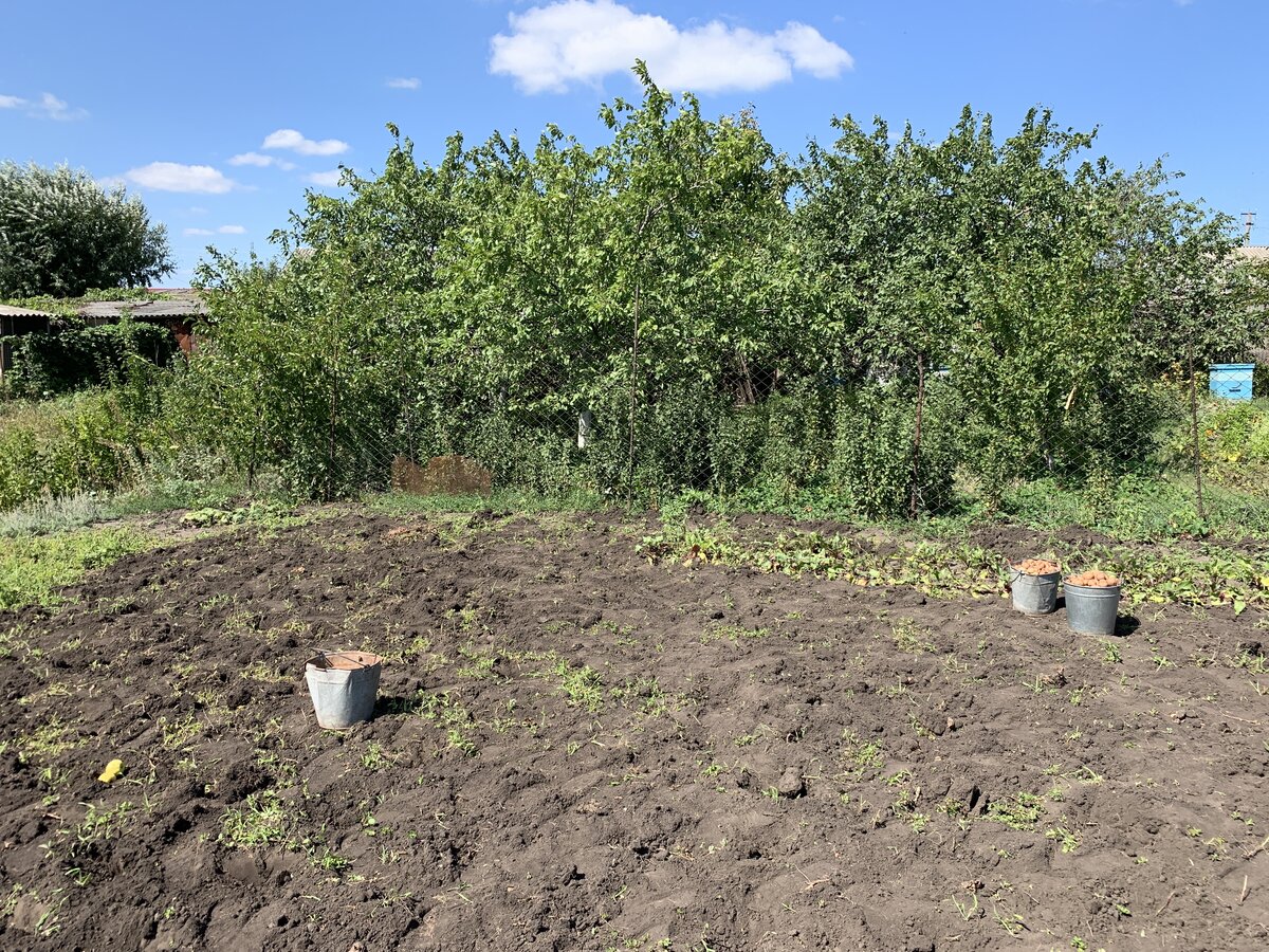 Огороды в деревне у жителей фото