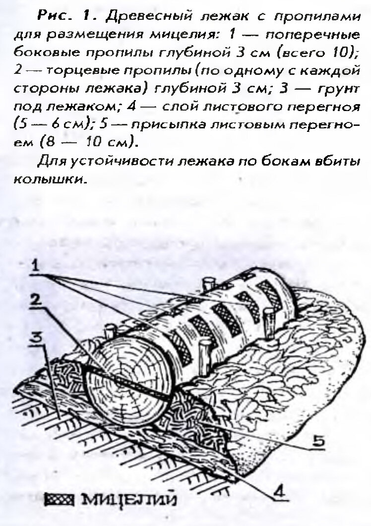 Можно сделать вот такой пропил. На самом деле он чуть сложнее, но намного удобнее.